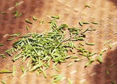 企业网站模板《1号彩票VIP》（五）